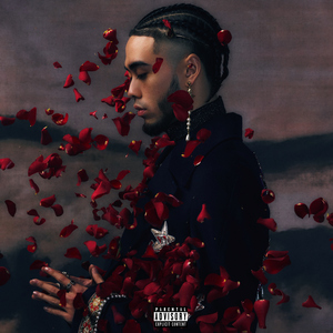 森日向子aⅴ免费播放
