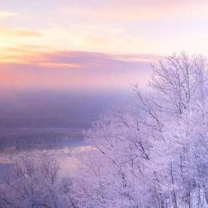 森日向子aⅴ免费播放
